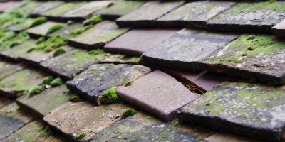 Tetworth roof repair costs